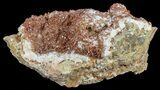 Plate Of Ruby Red Vanadinite Crystals on Barite - Morocco #61180-1